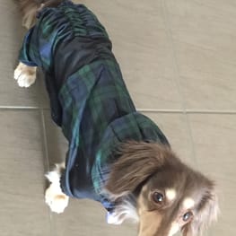 みにくろりんさんの作品