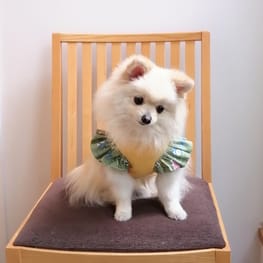 にこママさんの作品