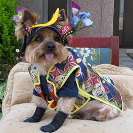 chikatyanさんの作品