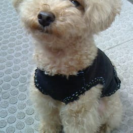 asukamamaさんの作品