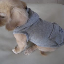 korino-rinoさんの作品