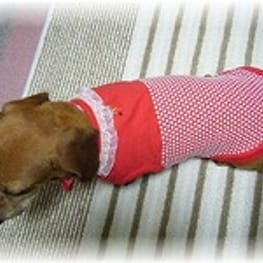 millamillaさんの作品