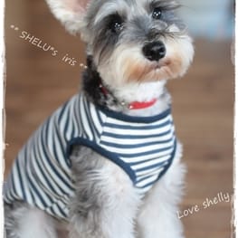 *choco-iris*さんの作品