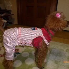 ちみこママさんの作品