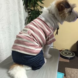 randymikioさんの作品