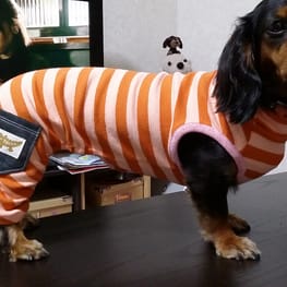 モコさんの作品