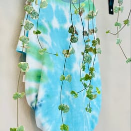 りりかさんの作品