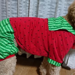 つなぎ カバーオール Millacra 愛犬のための犬服 ペット服の型紙通販 作り方 教室 Milla Milla