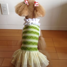 らくすさんの作品