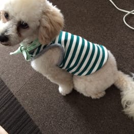 potetoさんの作品