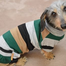 ひなはなさんの作品