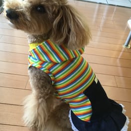 らくすさんの作品