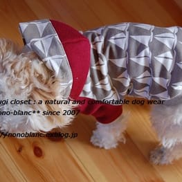 こむぎさんの作品