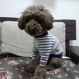 kunkunさんの作品