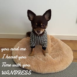 ゆずさんの作品