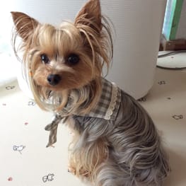 erikoさんの作品