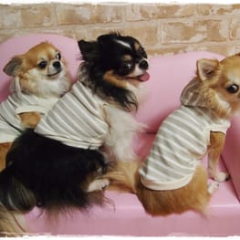 coco-taroさんの作品