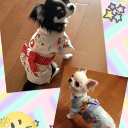 りりふうさんの作品