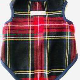 tamaharuさんの作品