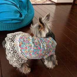 ちびたさんの作品