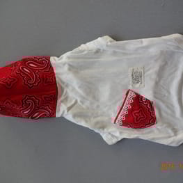 古都さんの作品