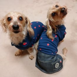 ひなはなさんの作品