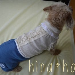 ひなはなさんの作品