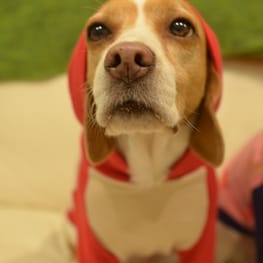 locomiさんの作品