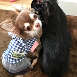 さちさんの作品