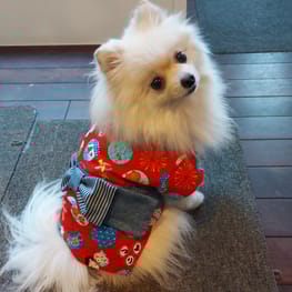 にこママさんの作品