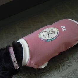 ライさんの作品