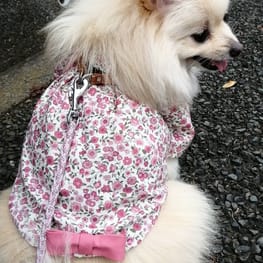 にこママさんの作品