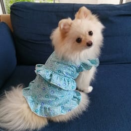 にこママさんの作品