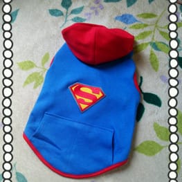 いわちゃんさんの作品