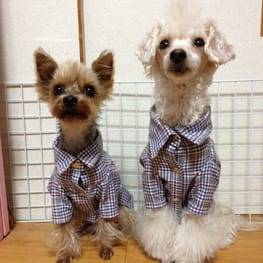 LabiOliママさんの作品