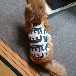 ちみさんの作品