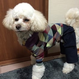 potetoさんの作品