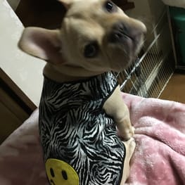 かずままさんの作品