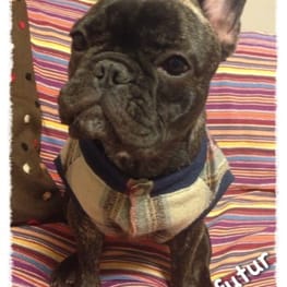 boom3tanさんの作品