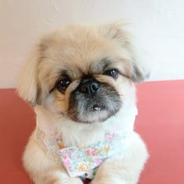 もんもんさんの作品