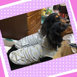 みちもこさんの作品