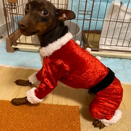 カバーオール つなぎ Millacra 愛犬のための犬服 ペット服の型紙通販 作り方 教室 Milla Milla カバーオール つなぎ Millacra 愛犬のための犬服 ペット服の型紙通販 作り方 教室 Milla Milla
