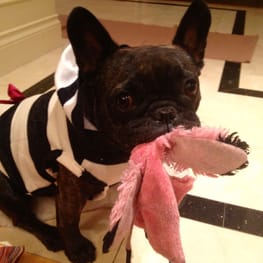 Peasnatchさんの作品