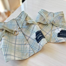 さちさんの作品