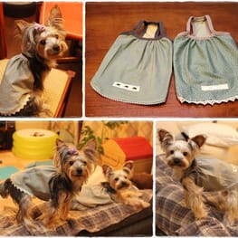 toshiさんの作品