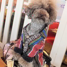 さっちさんの作品