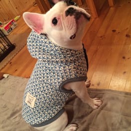 まりもさんの作品