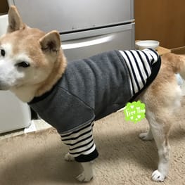 ごみさんの作品