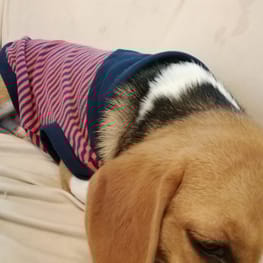 ウィンさんの作品