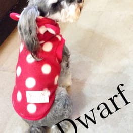 Dwarfさんの作品